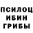 Псилоцибиновые грибы Magic Shrooms Noel Star