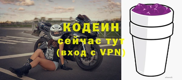 твердый Абаза