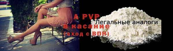 твердый Абаза