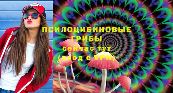 твердый Абаза